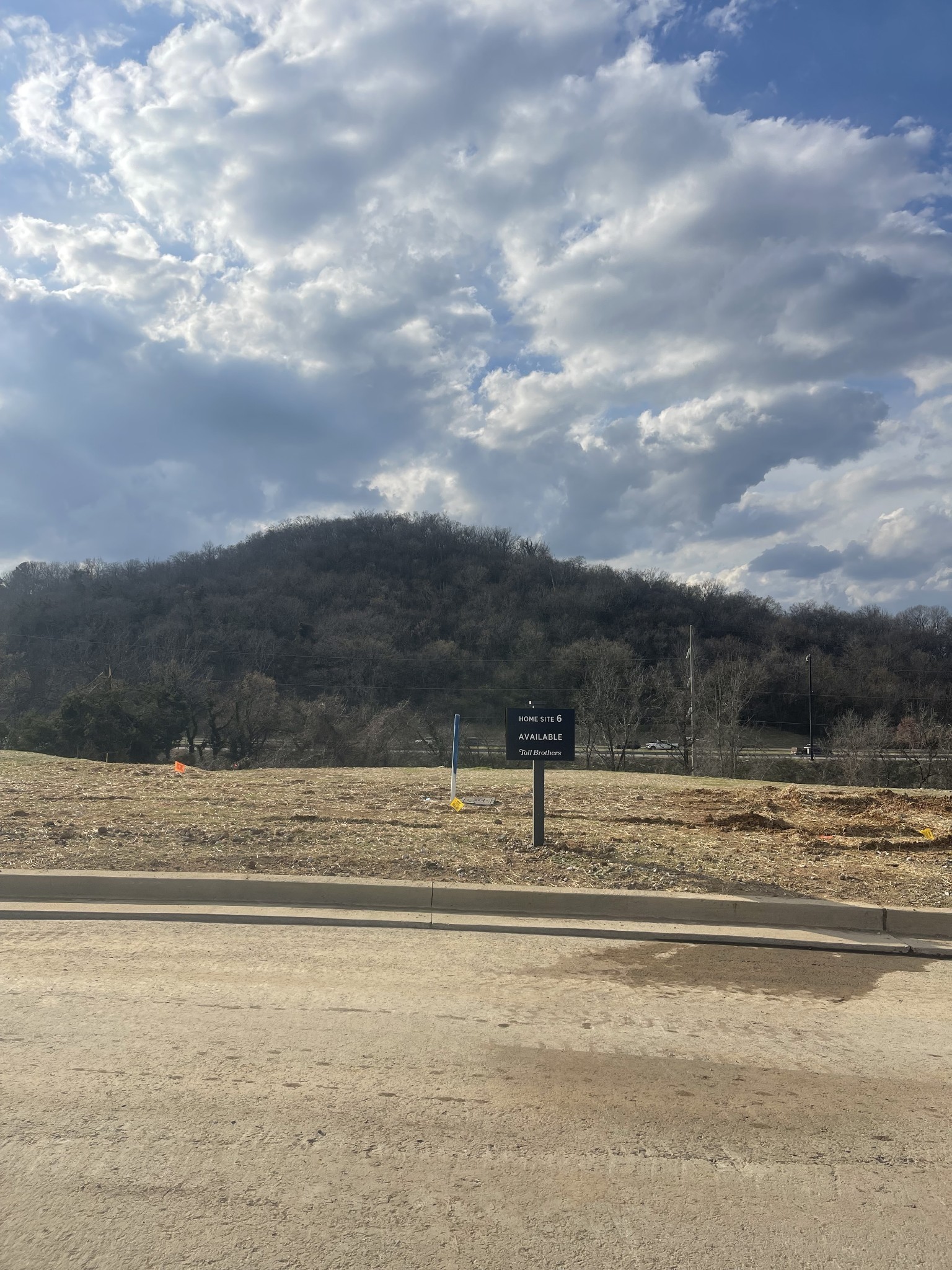219 Berry Hunter Lane Franklin TN 37067