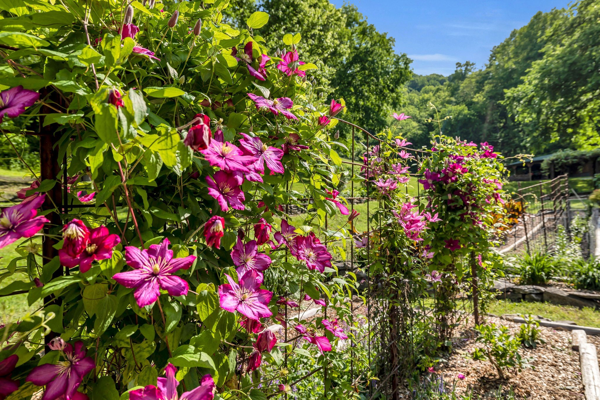 28 Bussell Lane Gordonsville TN 38563
