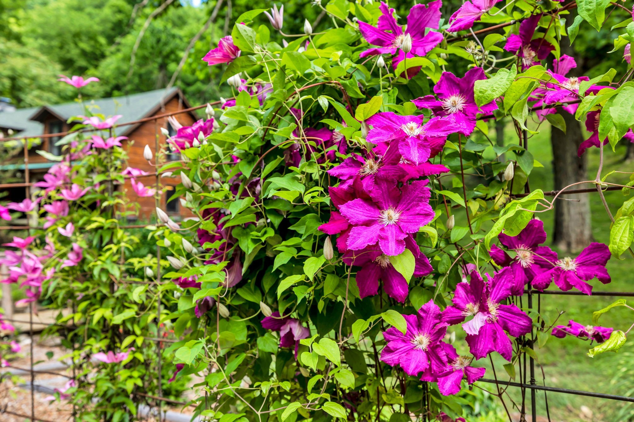 28 Bussell Lane Gordonsville TN 38563