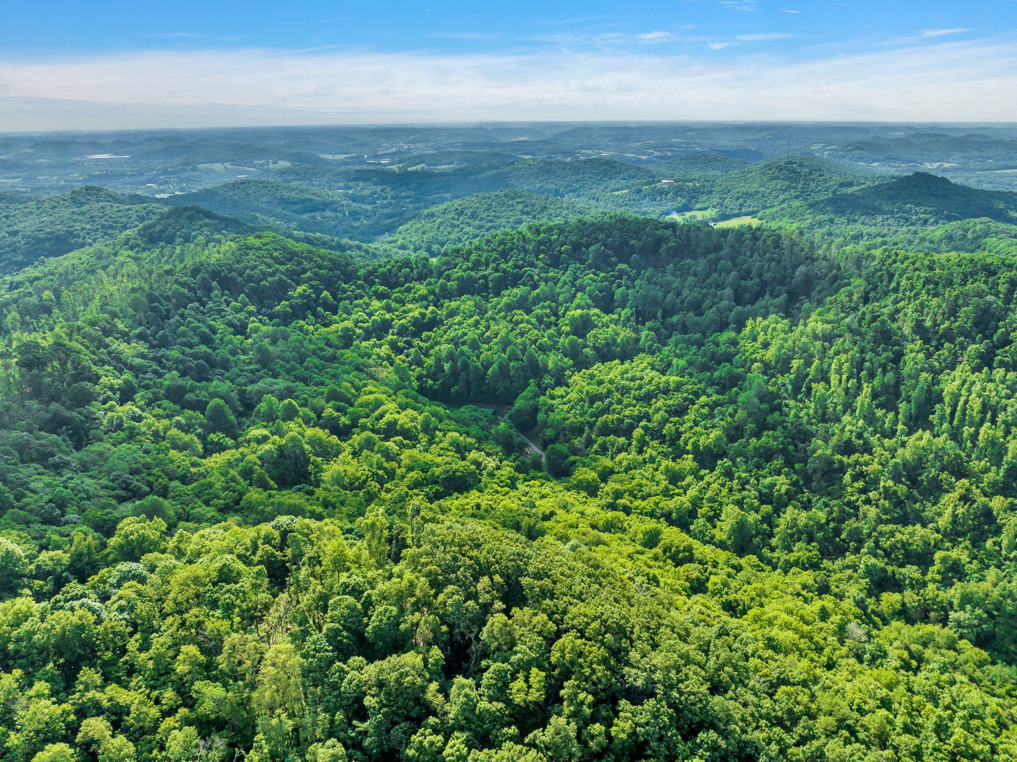 28 Bussell Lane Gordonsville TN 38563