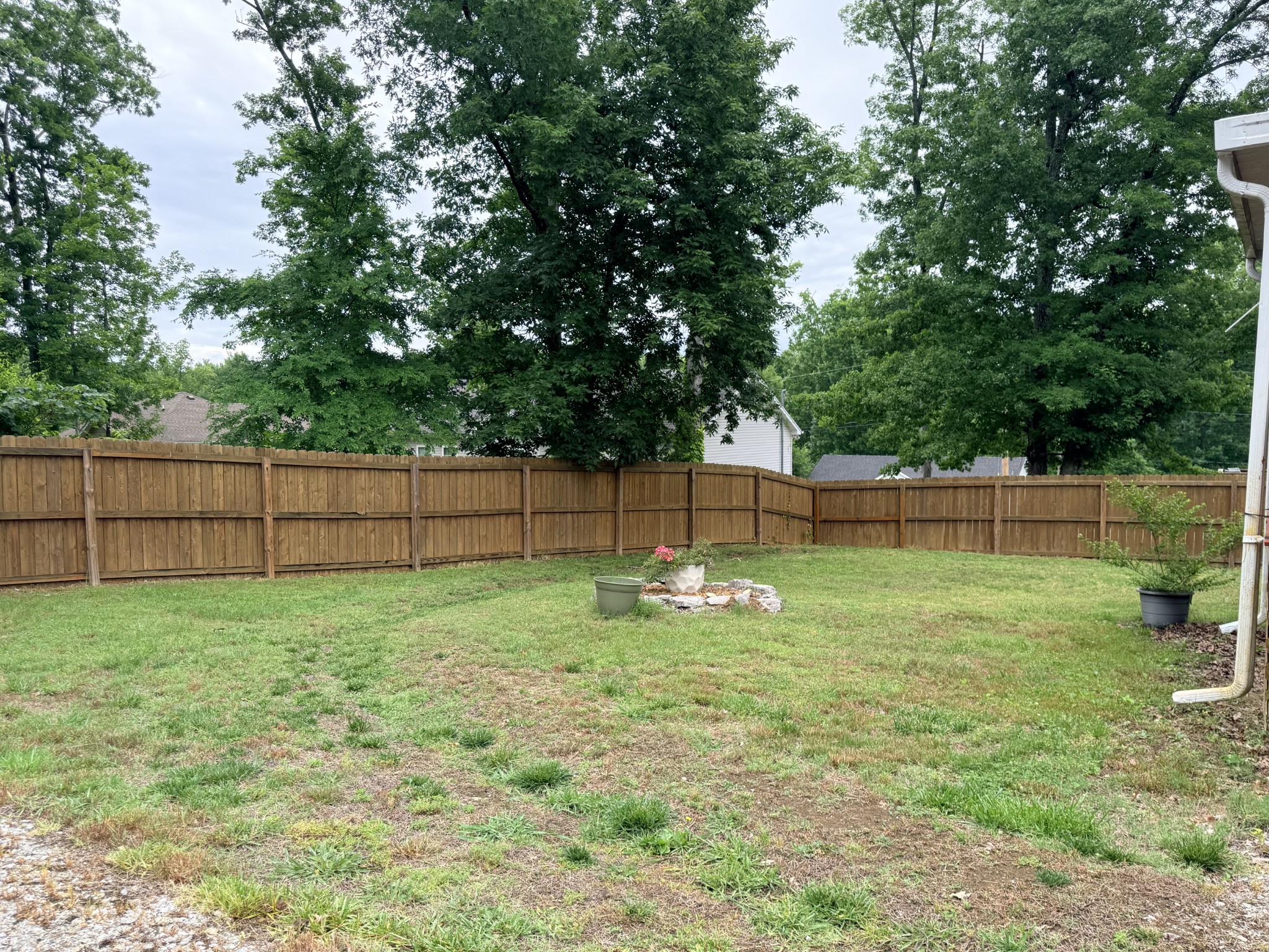 401 Elm Avenue Lewisburg TN 37091