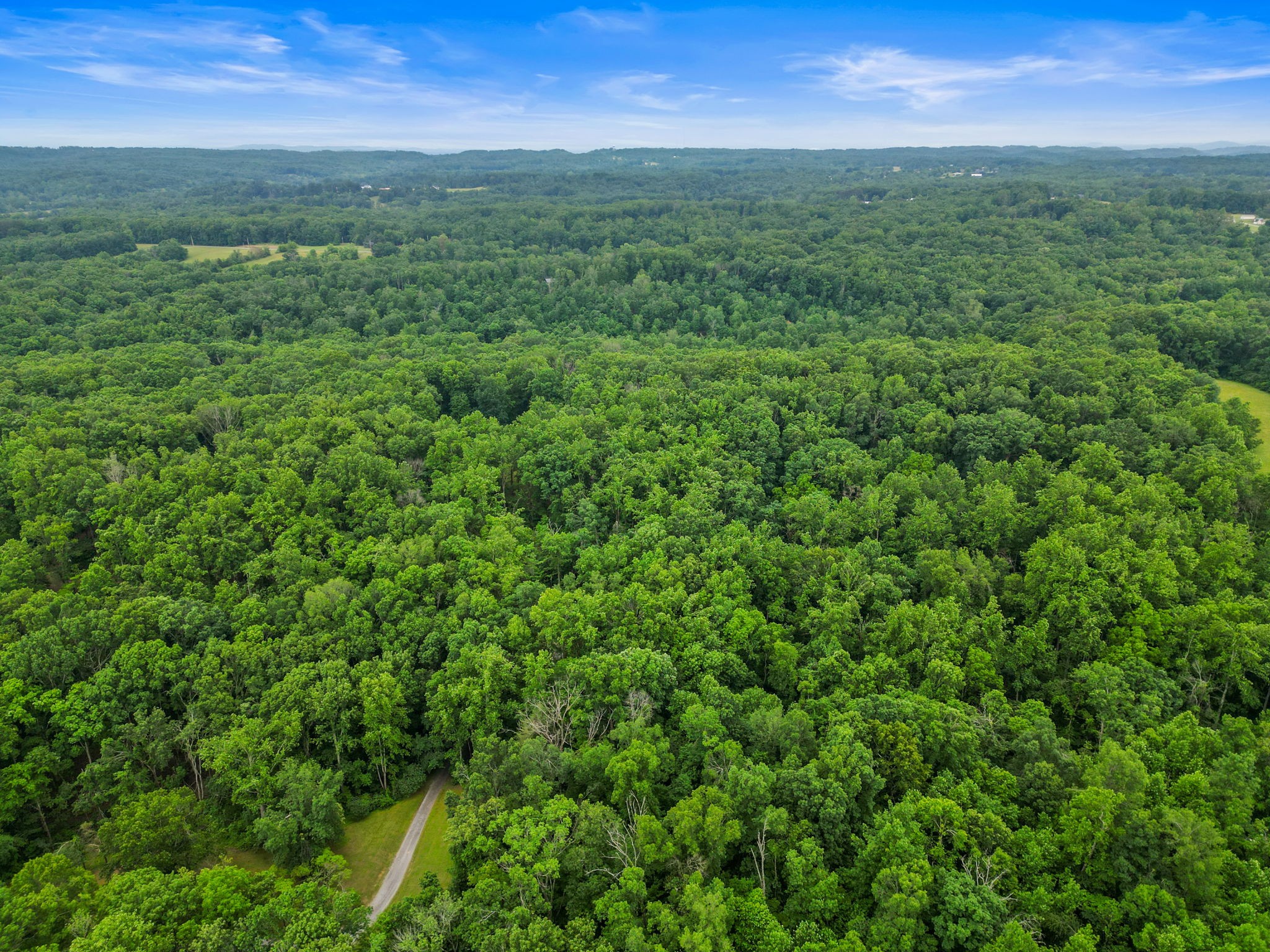 150A Dogwood Springs Drive Portland TN 37148