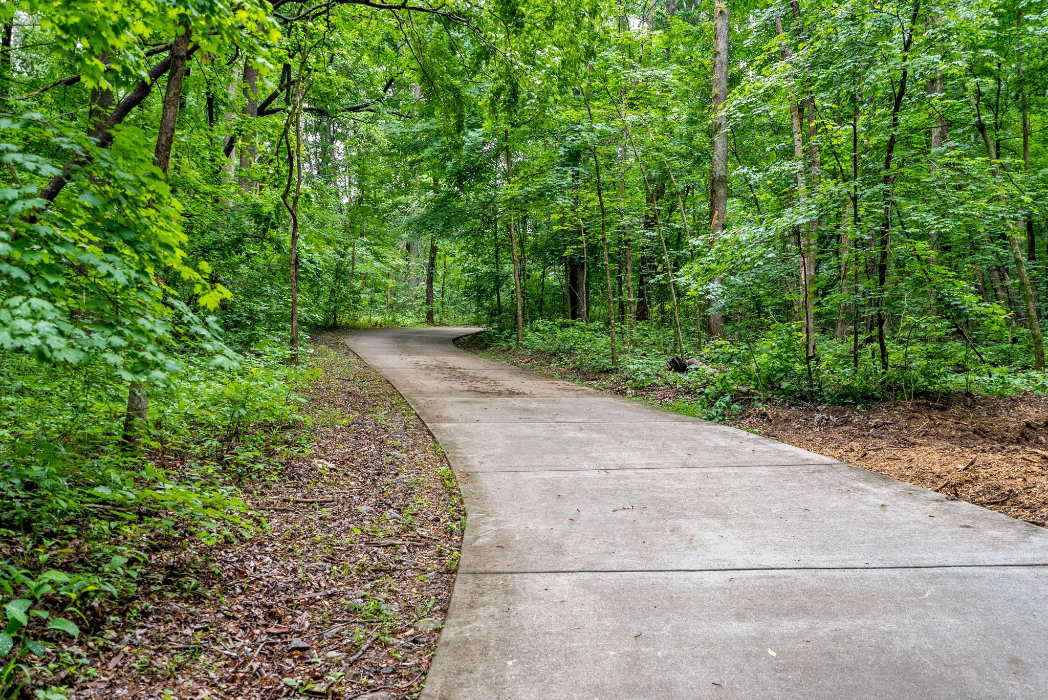 150A Dogwood Springs Drive Portland TN 37148