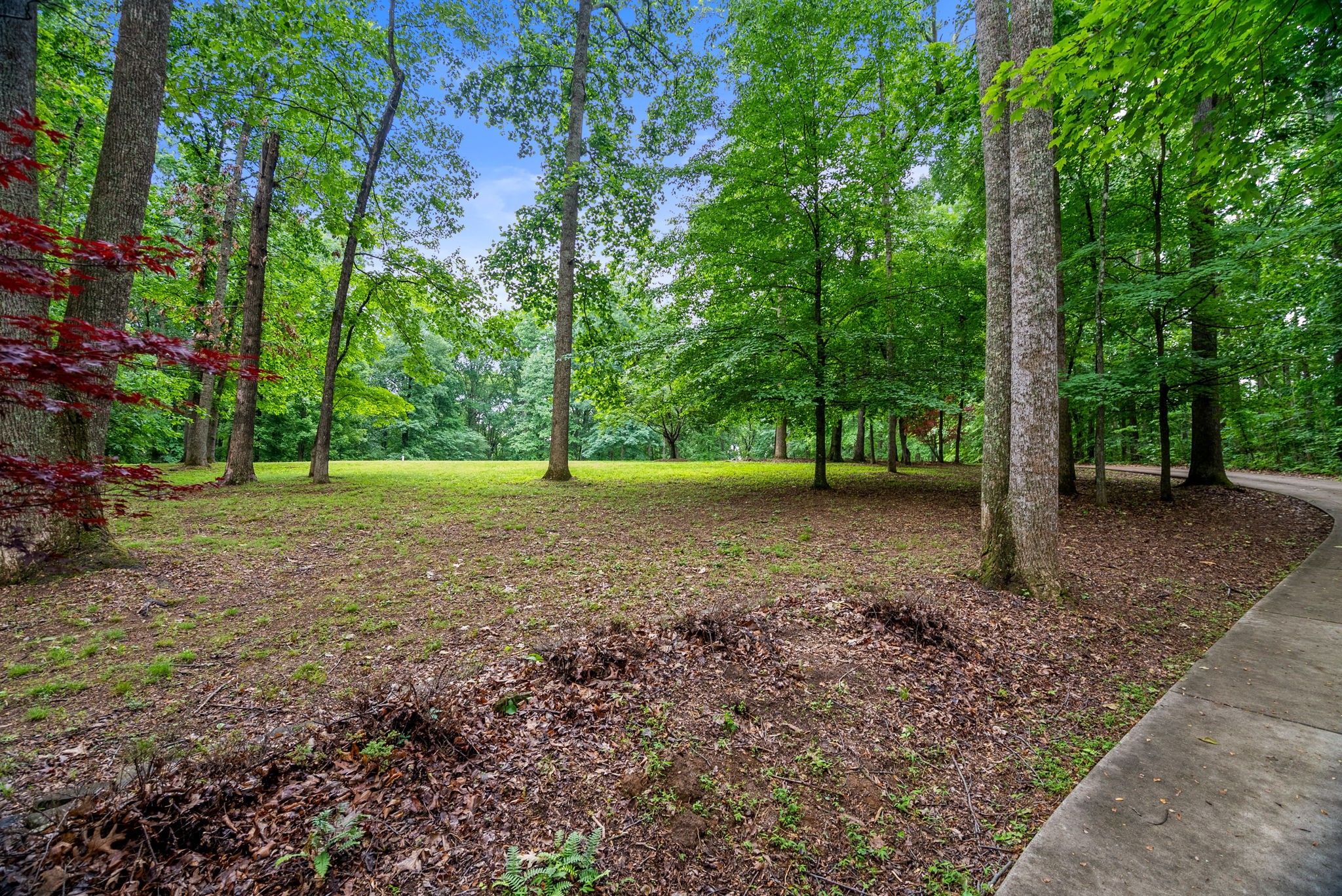150A Dogwood Springs Drive Portland TN 37148