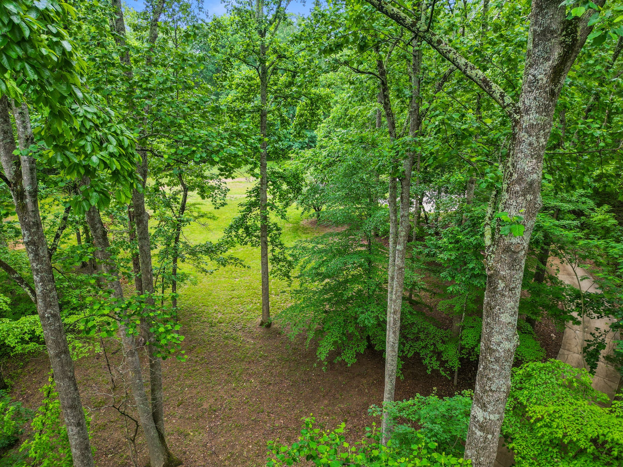 150A Dogwood Springs Drive Portland TN 37148