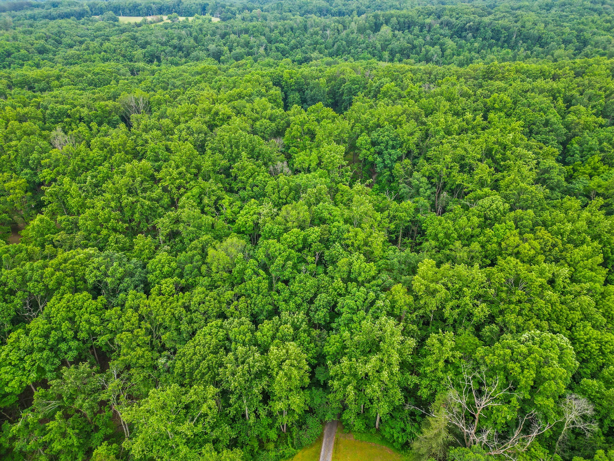 150A Dogwood Springs Drive Portland TN 37148