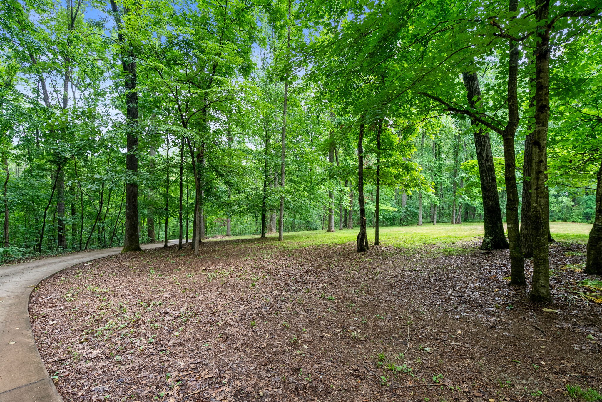150A Dogwood Springs Drive Portland TN 37148