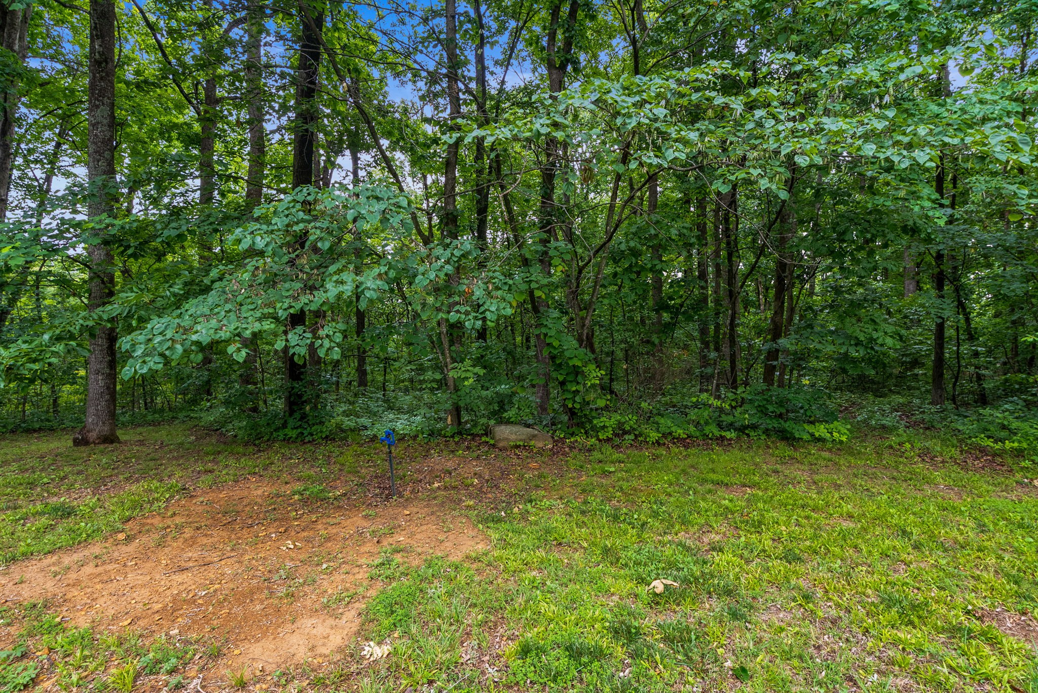 150A Dogwood Springs Drive Portland TN 37148