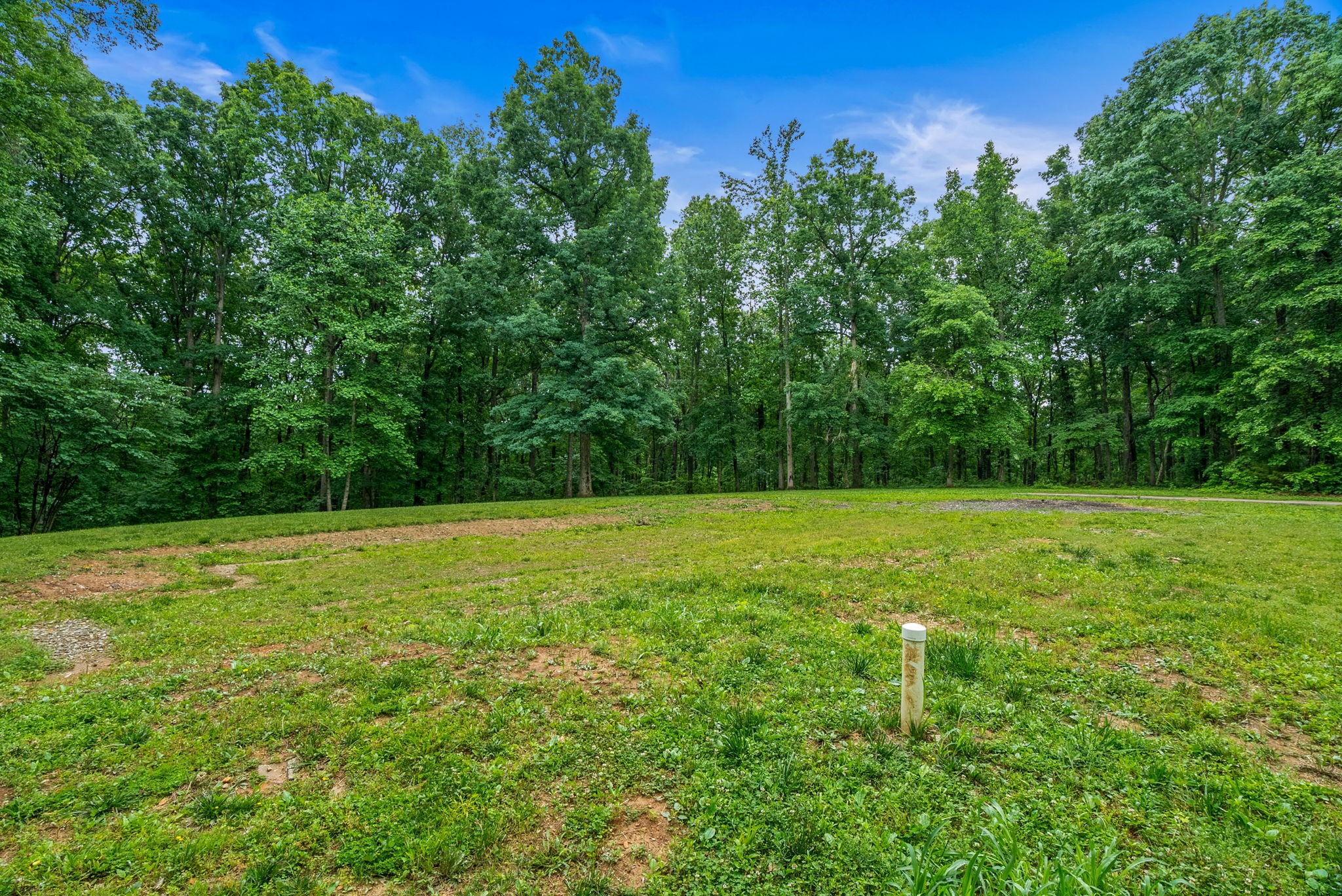 150A Dogwood Springs Drive Portland TN 37148