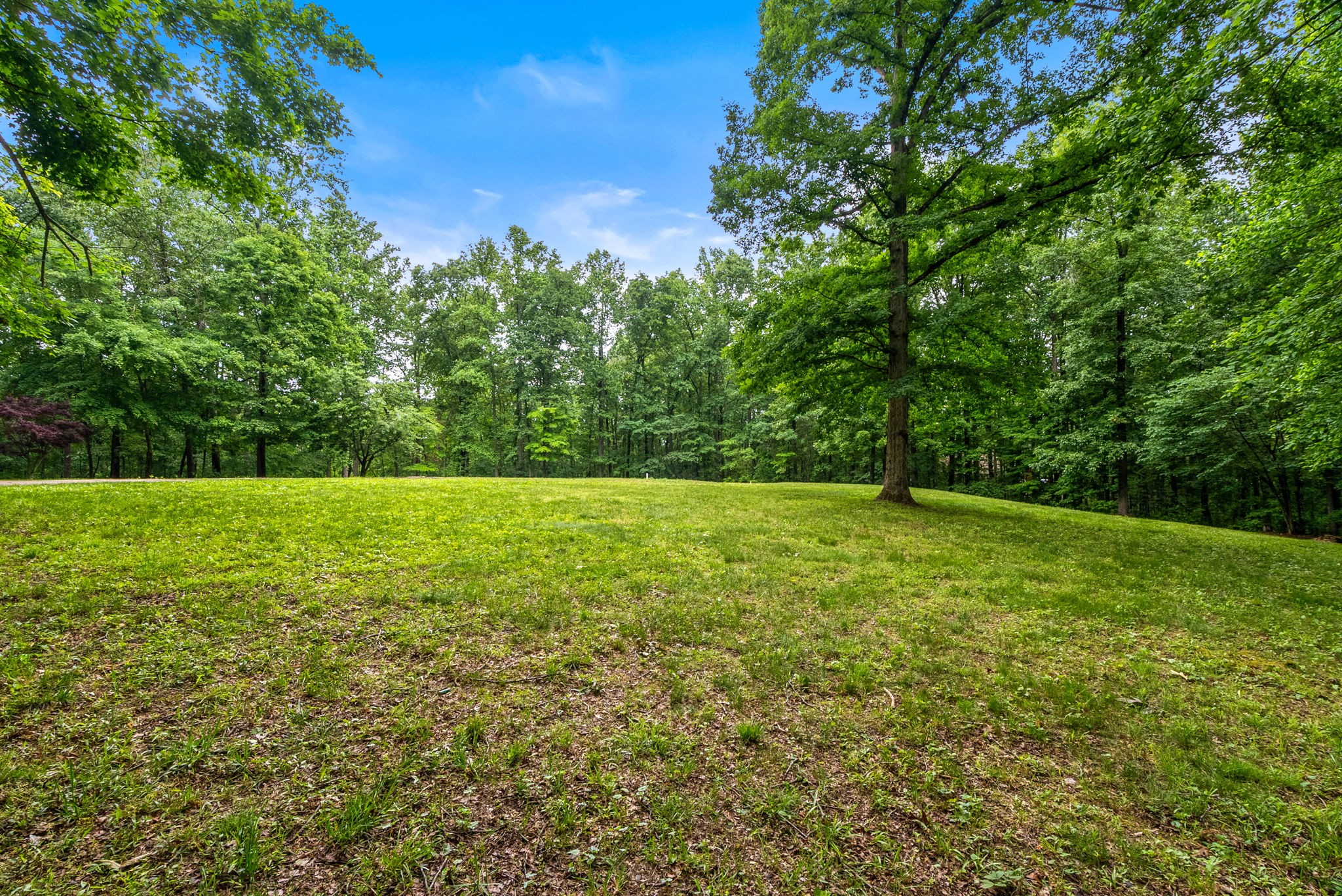 150A Dogwood Springs Drive Portland TN 37148