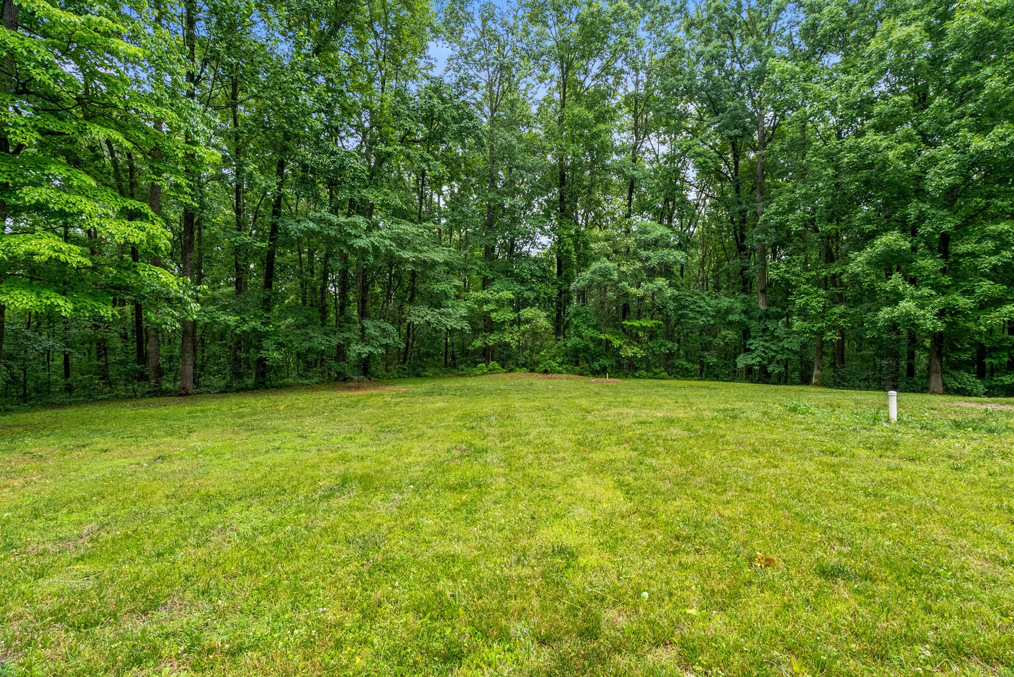 150A Dogwood Springs Drive Portland TN 37148