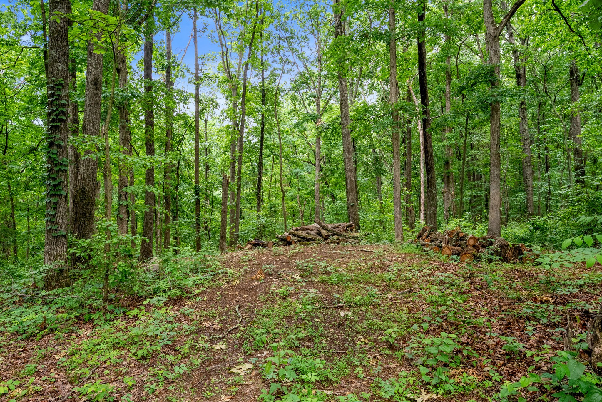 150A Dogwood Springs Drive Portland TN 37148