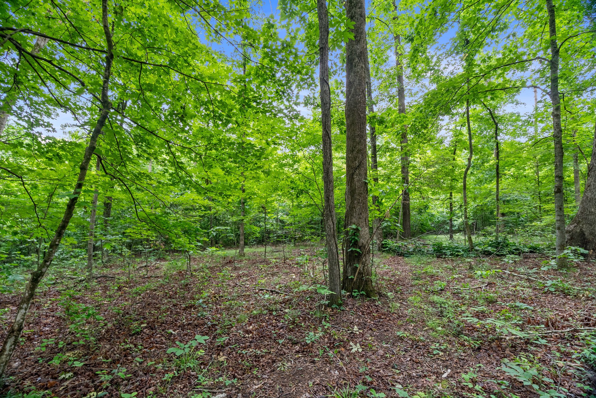 150A Dogwood Springs Drive Portland TN 37148