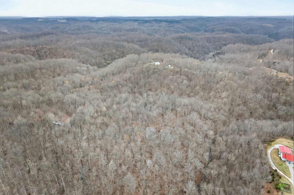 5 Acres Benton Tidwell Road Hilham TN 38568