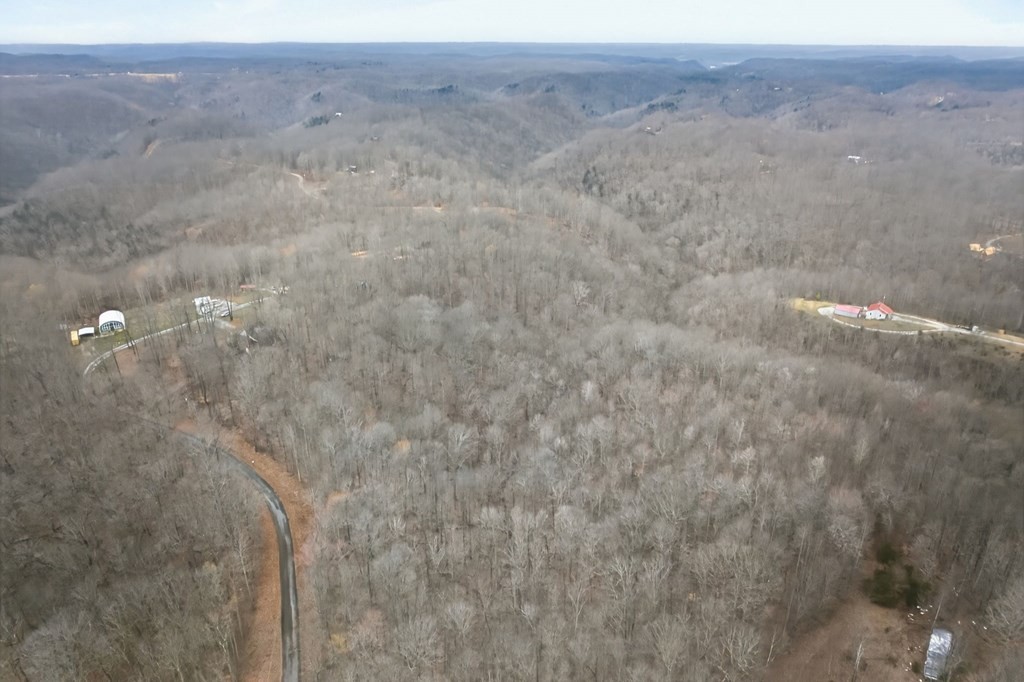 5 Acres Benton Tidwell Road Hilham TN 38568