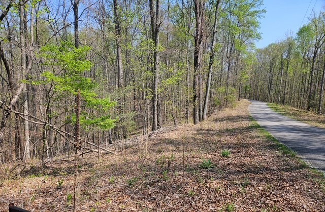 5 Acres Benton Tidwell Road Hilham TN 38568