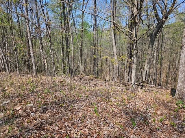 5 Acres Benton Tidwell Road Hilham TN 38568