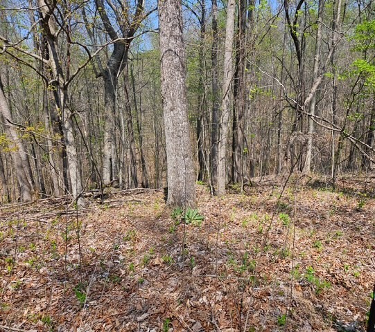 5 Acres Benton Tidwell Road Hilham TN 38568