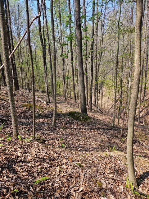 5 Acres Benton Tidwell Road Hilham TN 38568