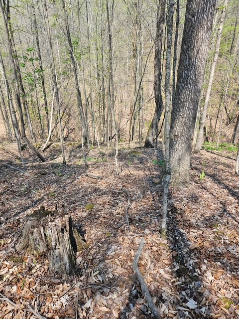 5 Acres Benton Tidwell Road Hilham TN 38568