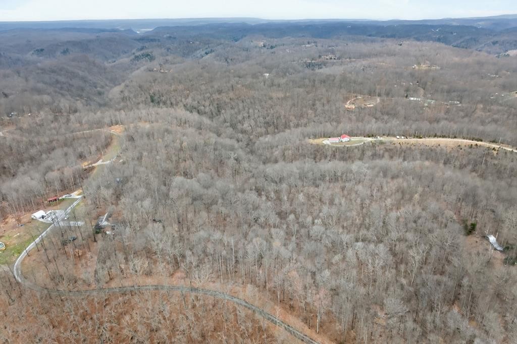 5 Acres Benton Tidwell Road Hilham TN 38568