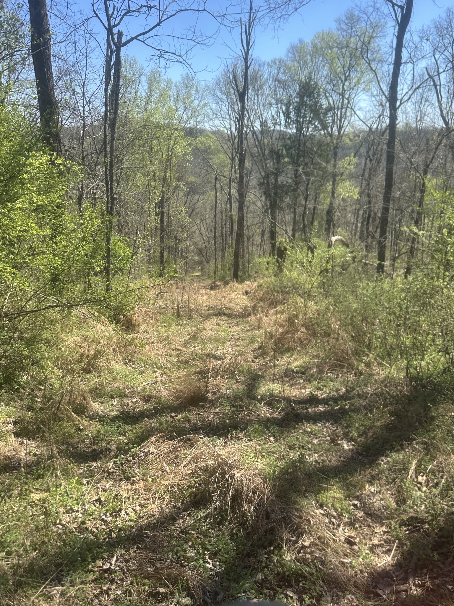 0 Glasgow Branch Road Hartsville TN 37074