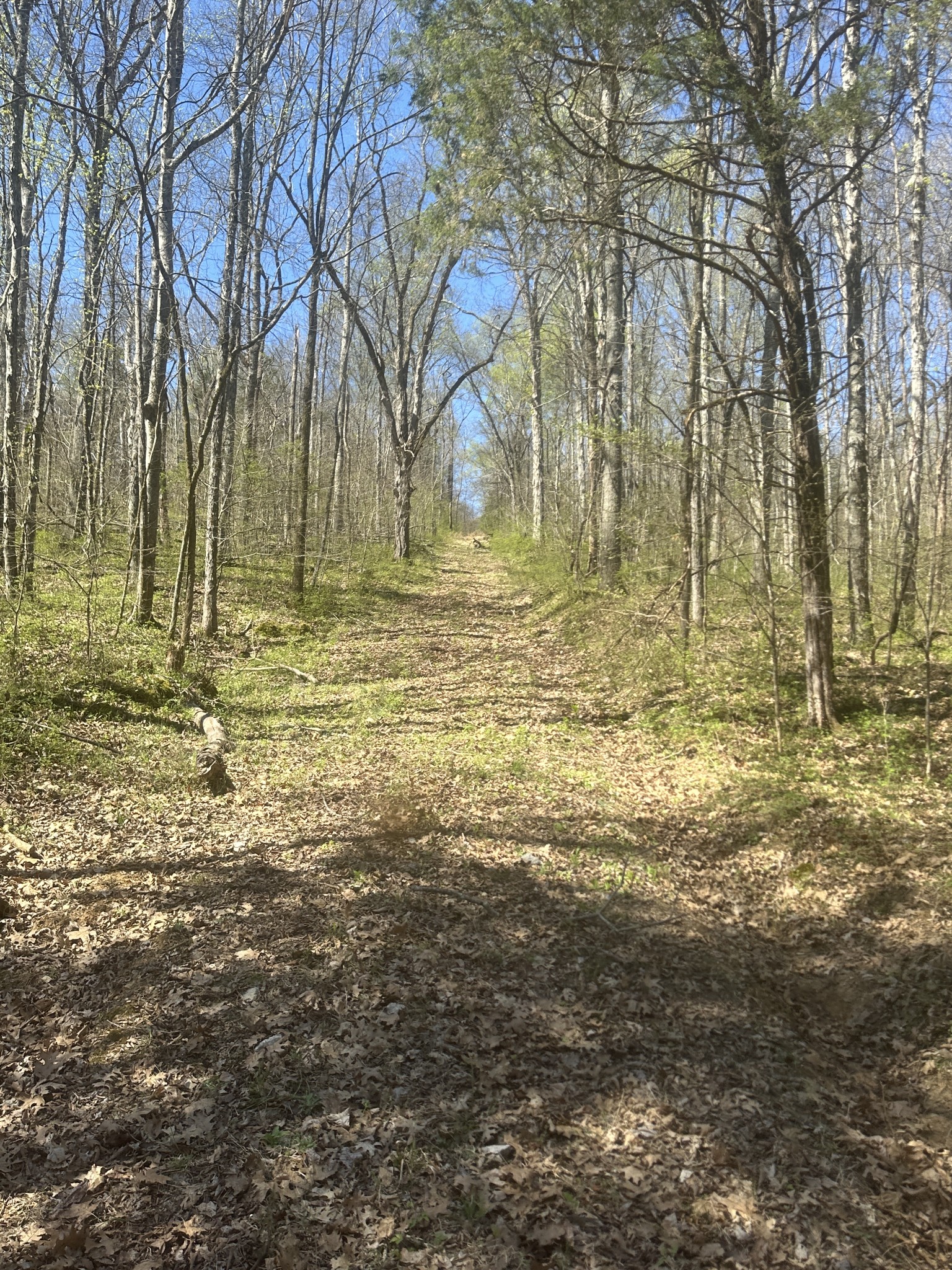 0 Glasgow Branch Road Hartsville TN 37074