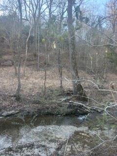 0 Glasgow Branch Road Hartsville TN 37074