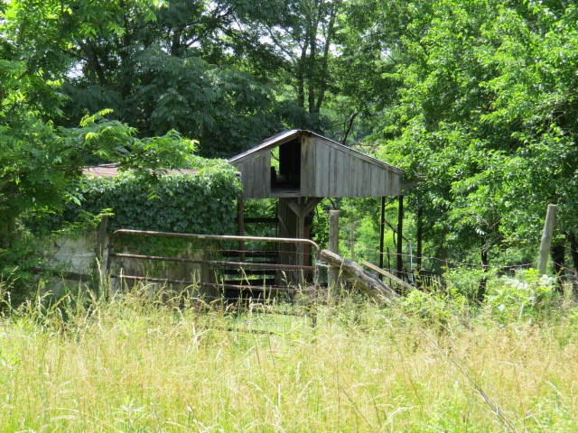 200 Hardy Road Pulaski TN 38478