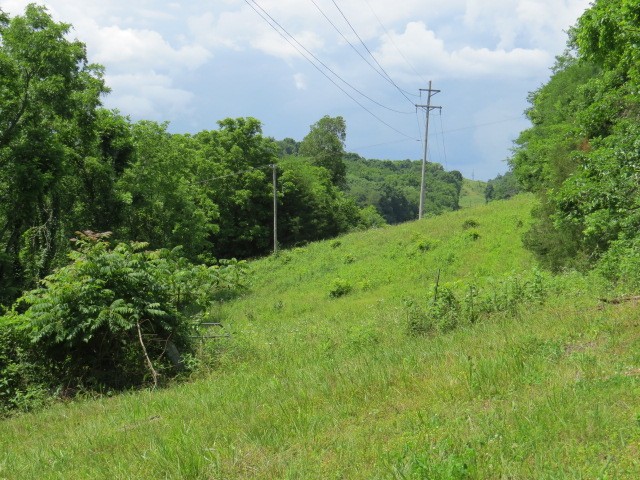 200 Hardy Road Pulaski TN 38478