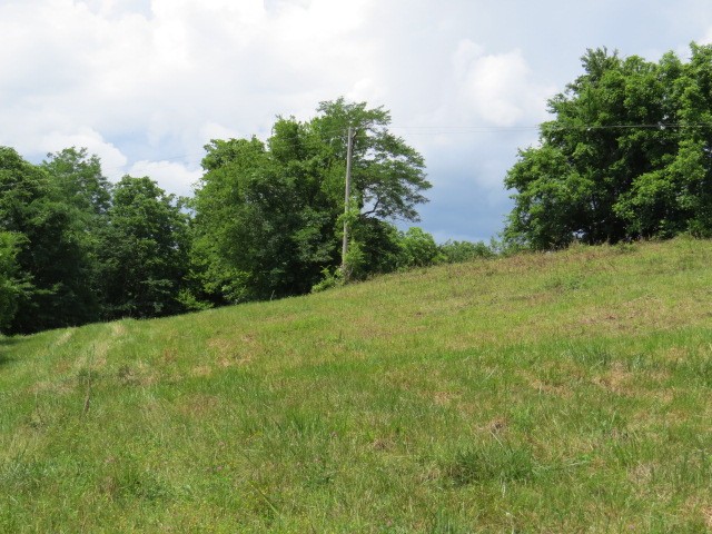 200 Hardy Road Pulaski TN 38478