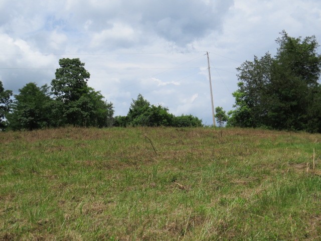 200 Hardy Road Pulaski TN 38478