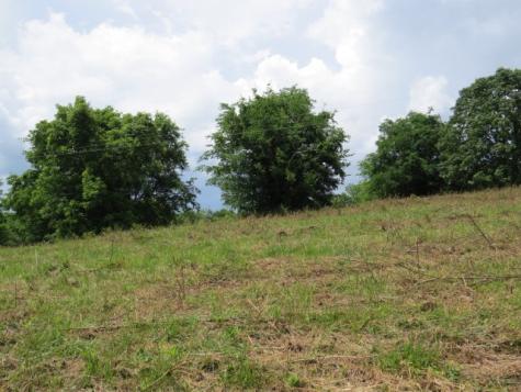 200 Hardy Road Pulaski TN 38478
