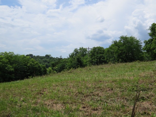 200 Hardy Road Pulaski TN 38478