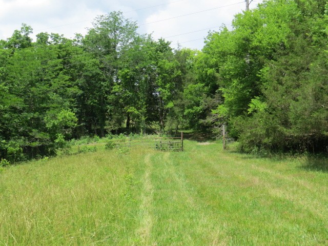 200 Hardy Road Pulaski TN 38478