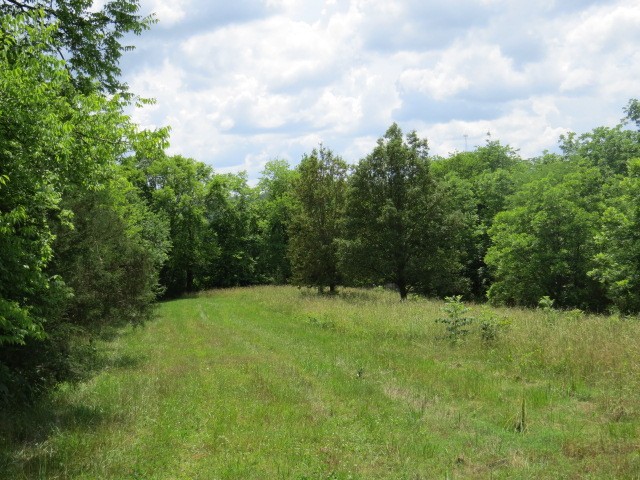 200 Hardy Road Pulaski TN 38478