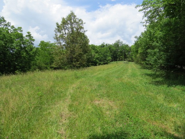 200 Hardy Road Pulaski TN 38478