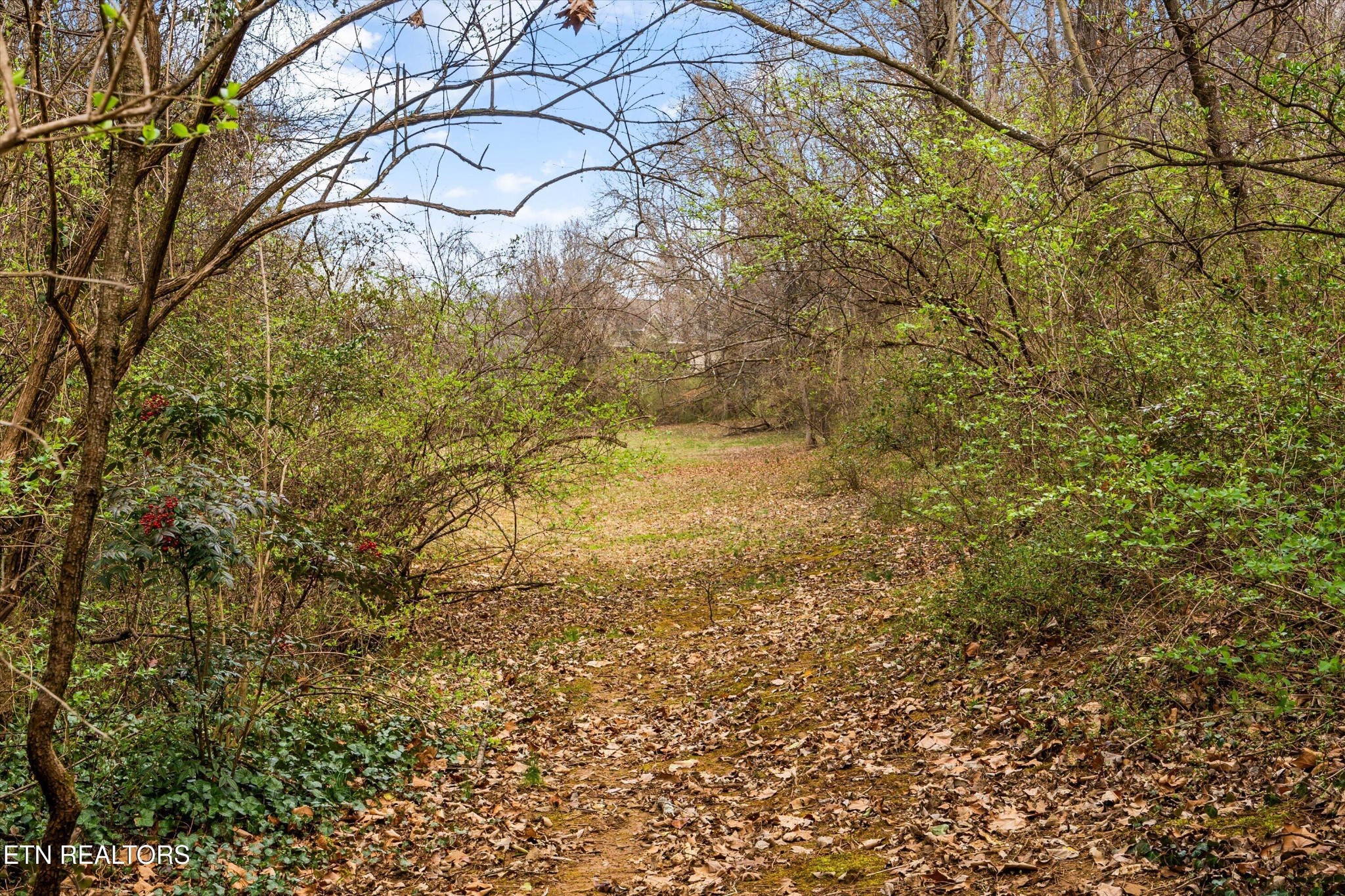 3031 Shadow Brook Drive Maryville TN 37803