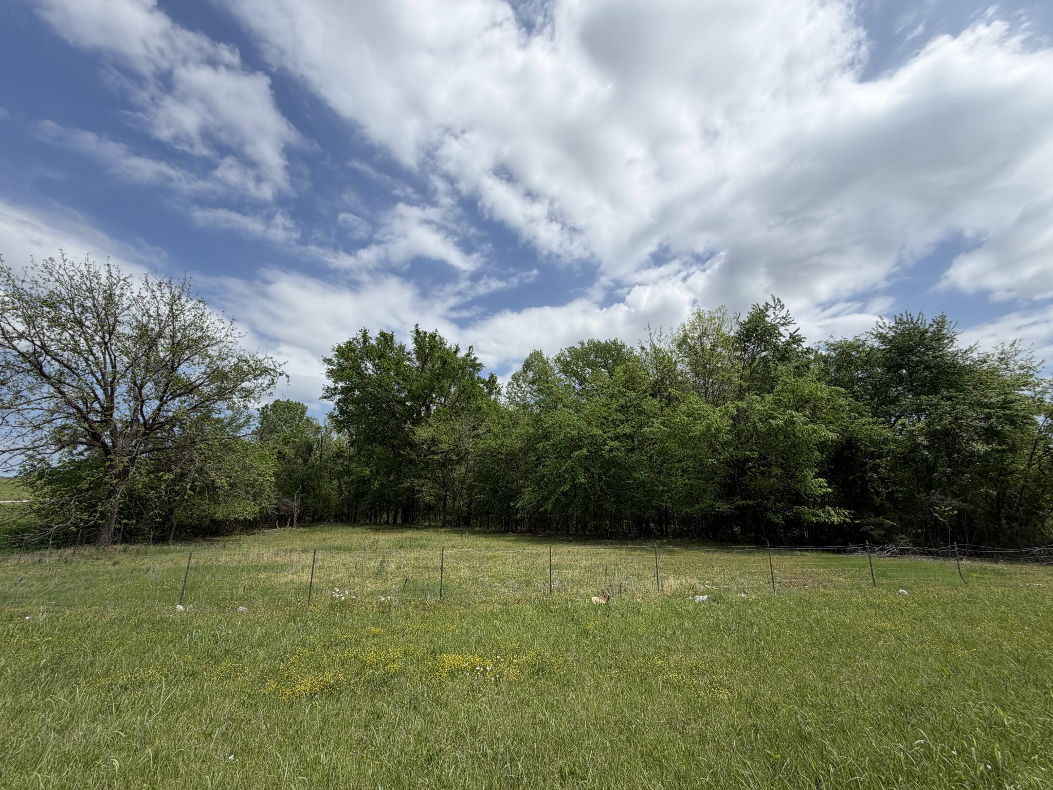 0 Highway 109, N Lebanon TN 37087
