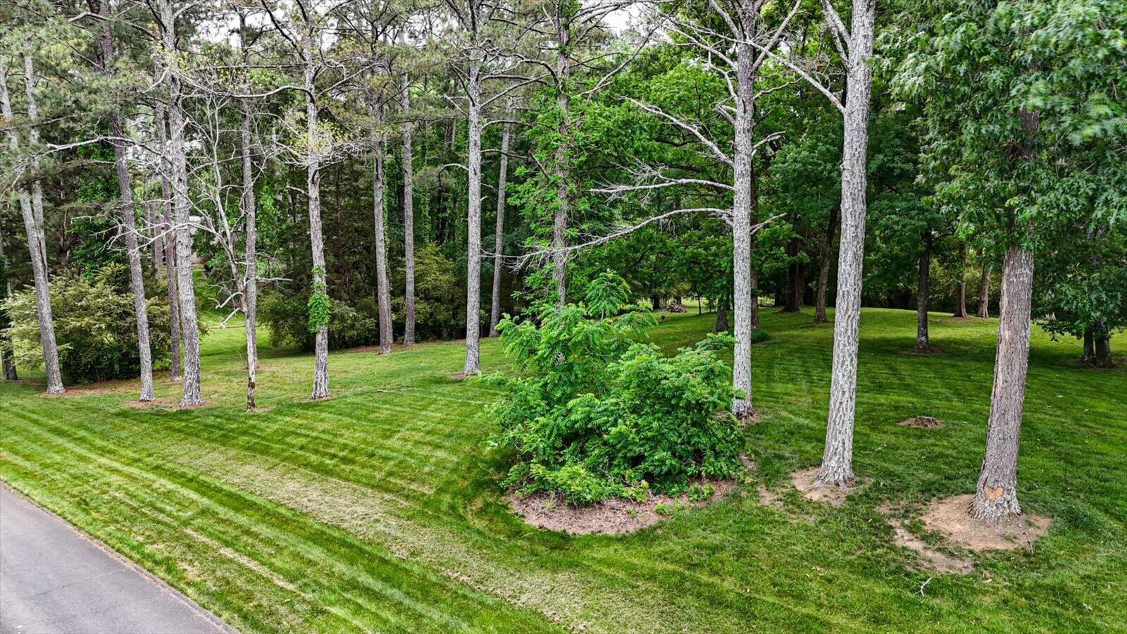 3501 Ramblewood Circle, NW Cleveland TN 37312