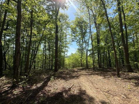 0 Laurel Lake Drive Monteagle TN 37356