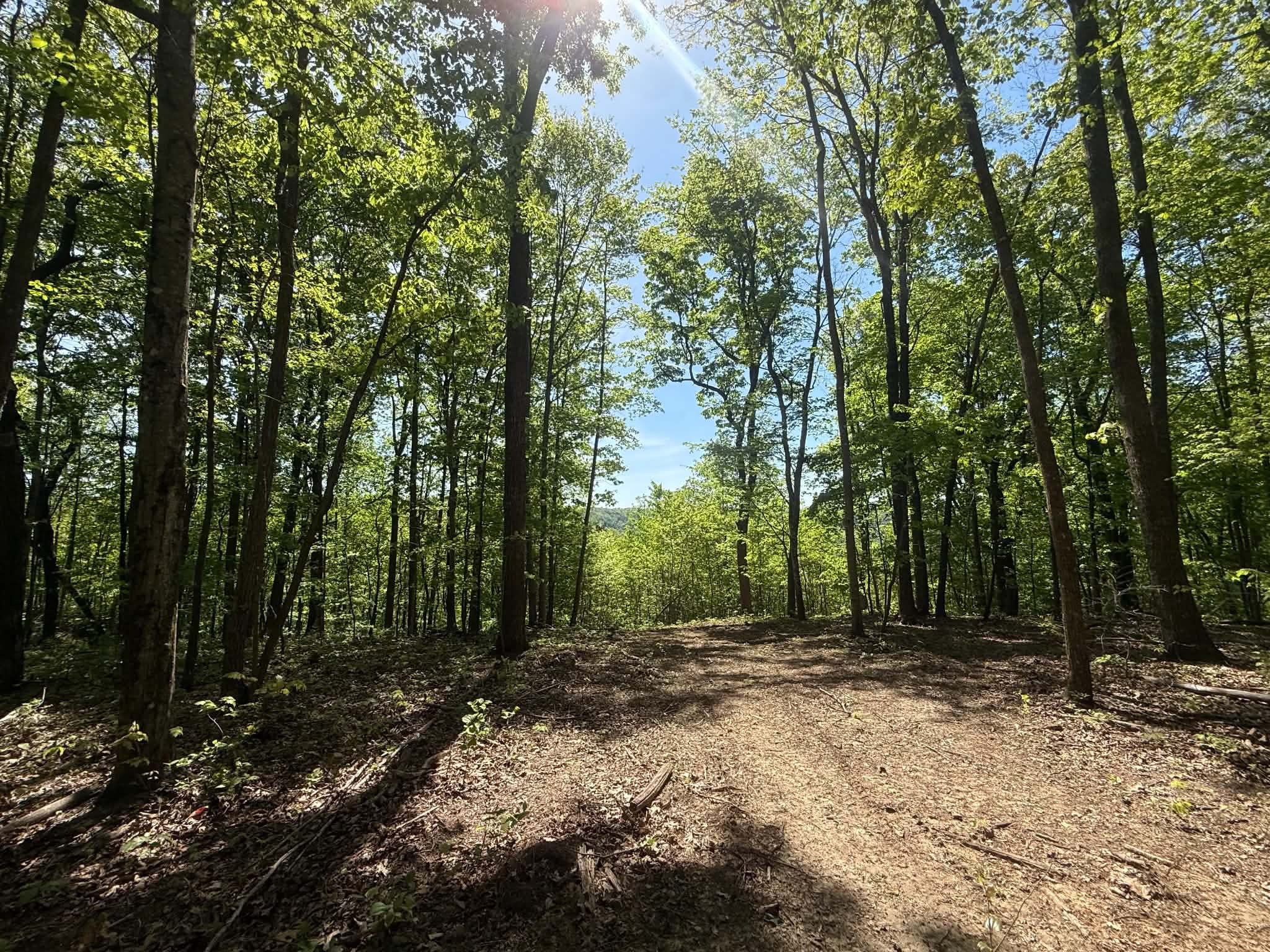 0 Laurel Lake Drive Monteagle TN 37356