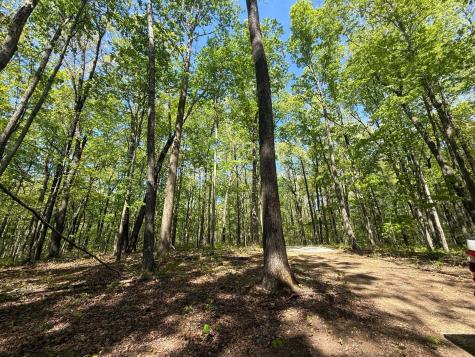 0 Laurel Lake Drive Monteagle TN 37356
