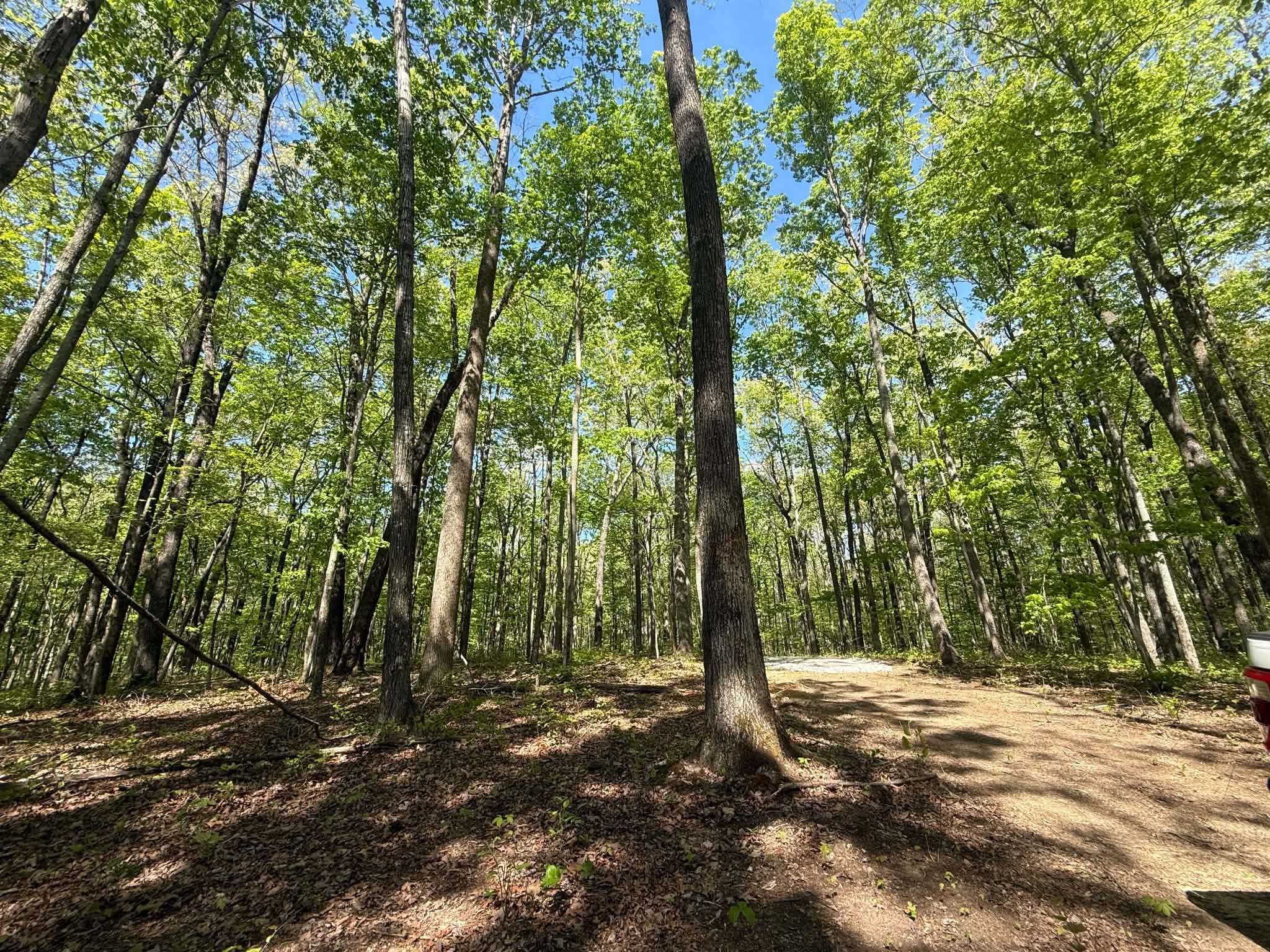 0 Laurel Lake Drive Monteagle TN 37356