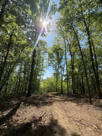0 Laurel Lake Drive Monteagle TN 37356