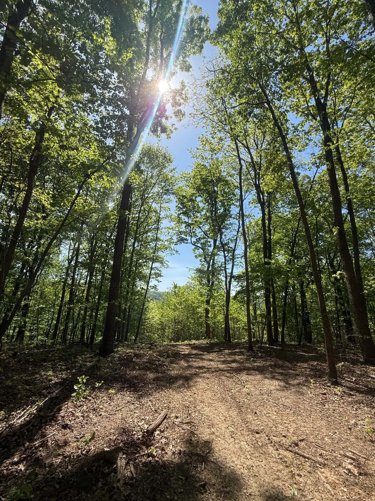 0 Laurel Lake Drive Monteagle TN 37356