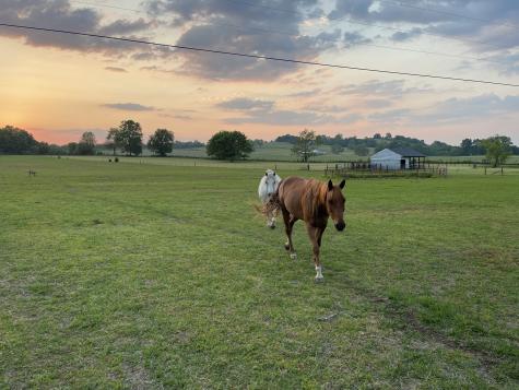 0 Willow Lane Hartsville TN 37074