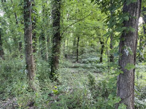 0 Willow Lane Hartsville TN 37074