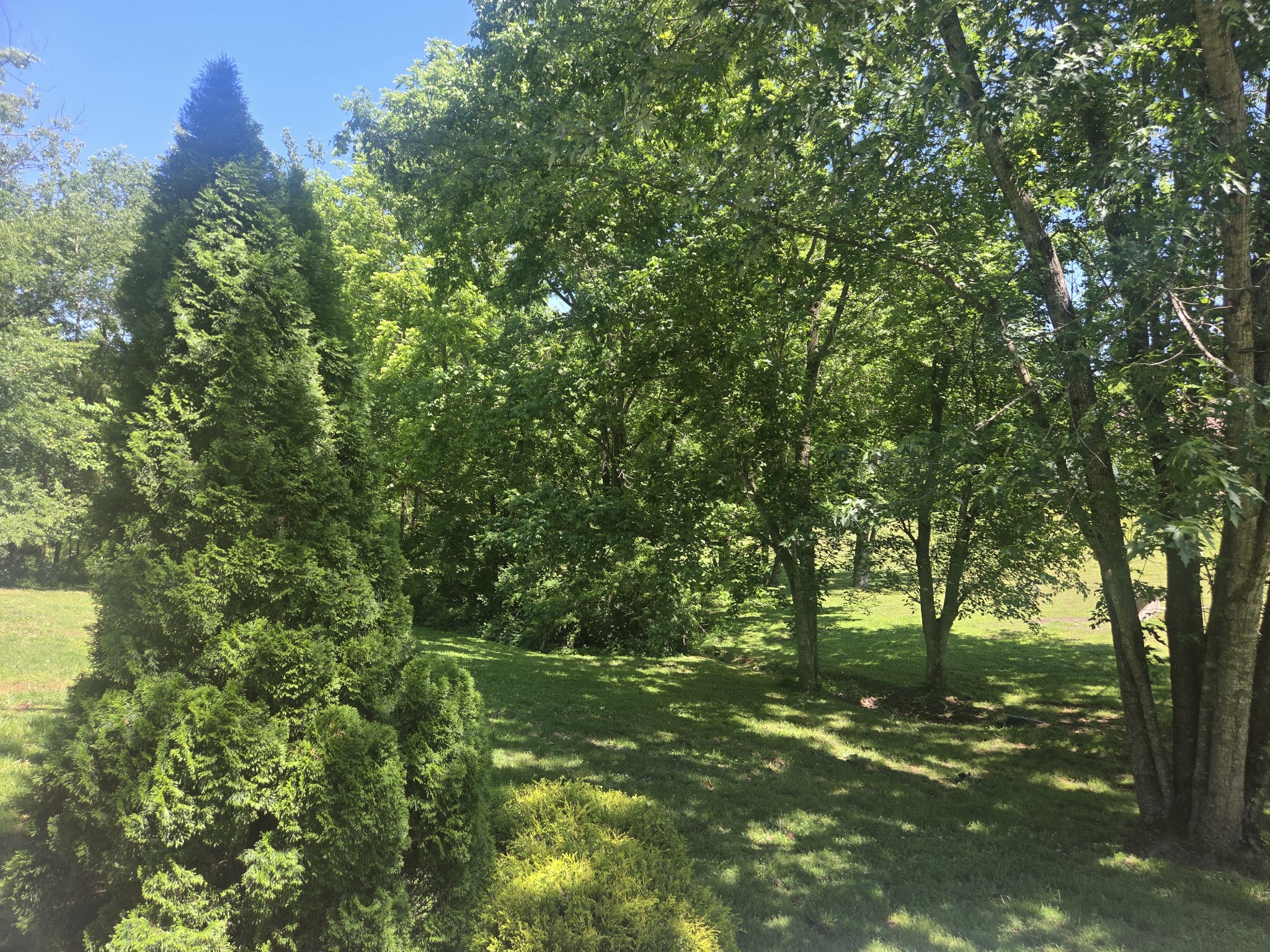 2034 Christy Lane Greenbrier TN 37073