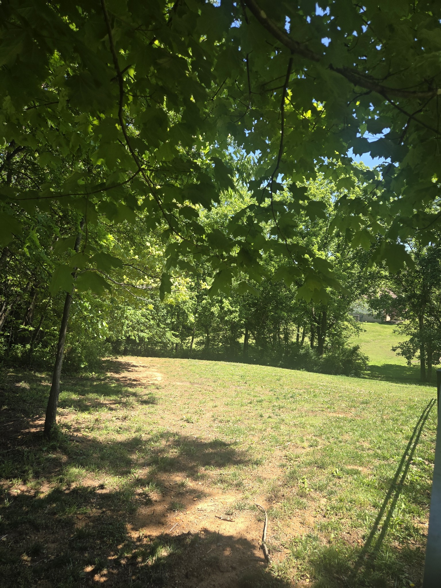 2034 Christy Lane Greenbrier TN 37073